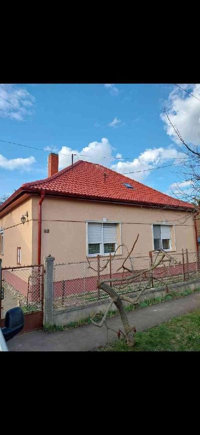 Alex Martin Szalay munkája